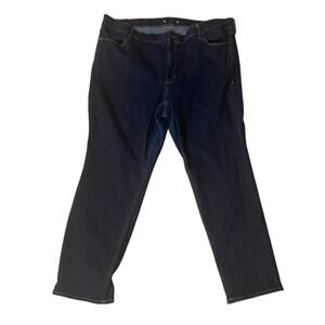 Old Navy Dark Wash High-Rise Plus Size Jeans 24W